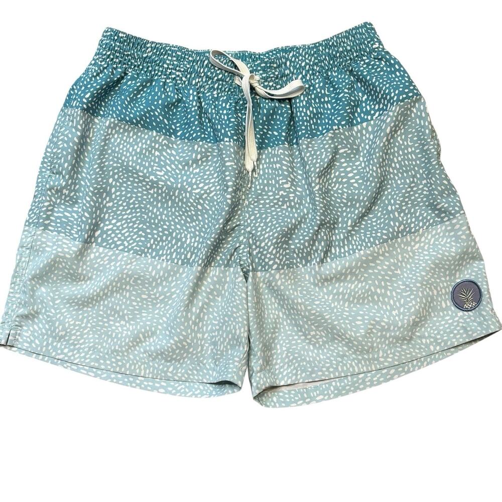 Chubbies Blue Green Gradient Dot Swim Trunks Stretch 5.5" Inseam Men's Large